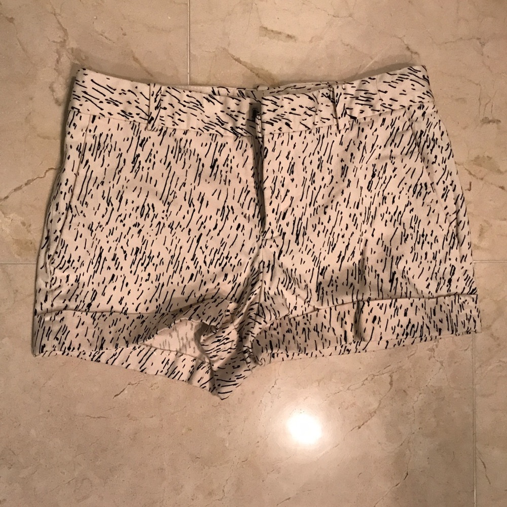 Zara Shorts
